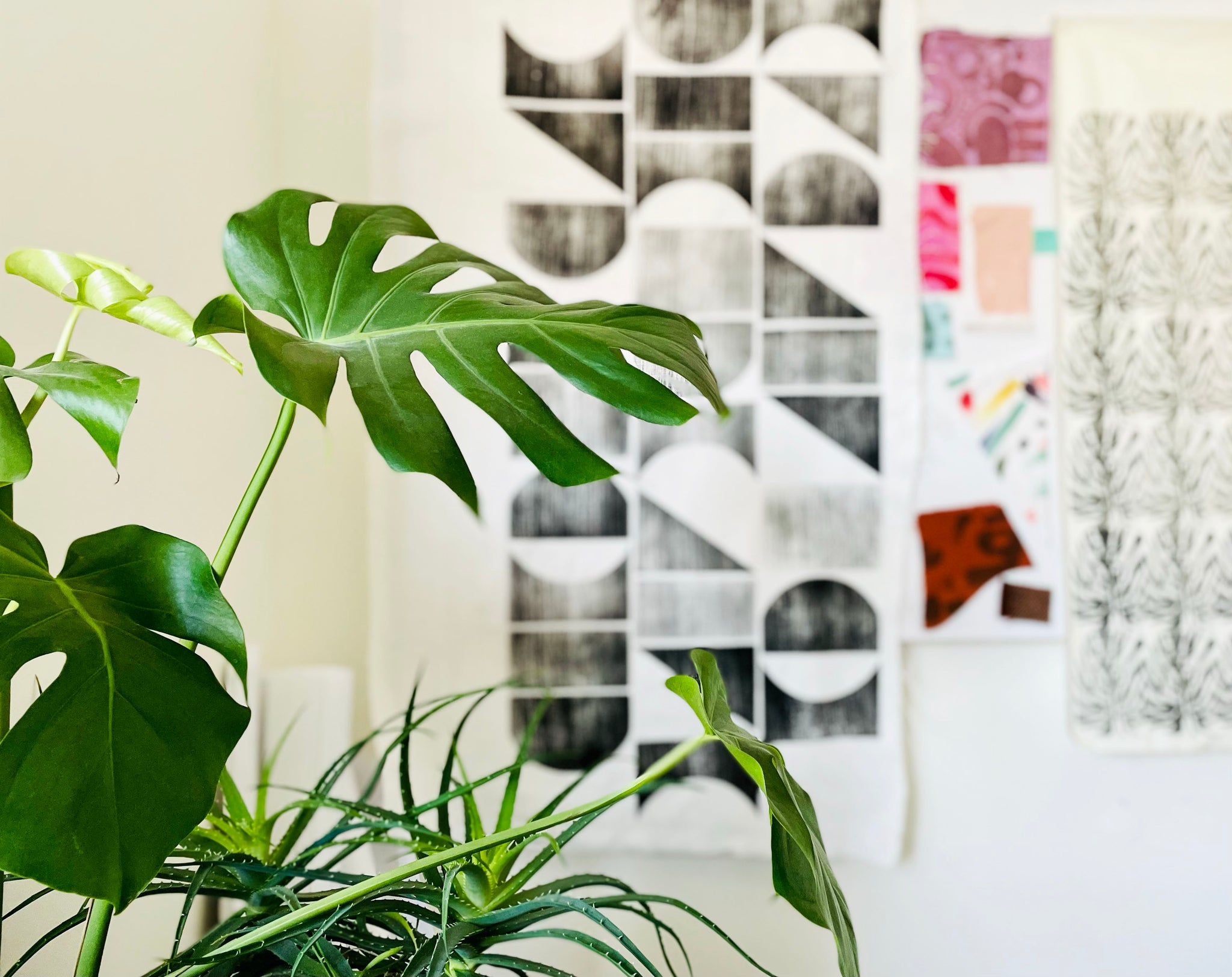 A studio with prints hanging on the wall, with a plant in the foreground.